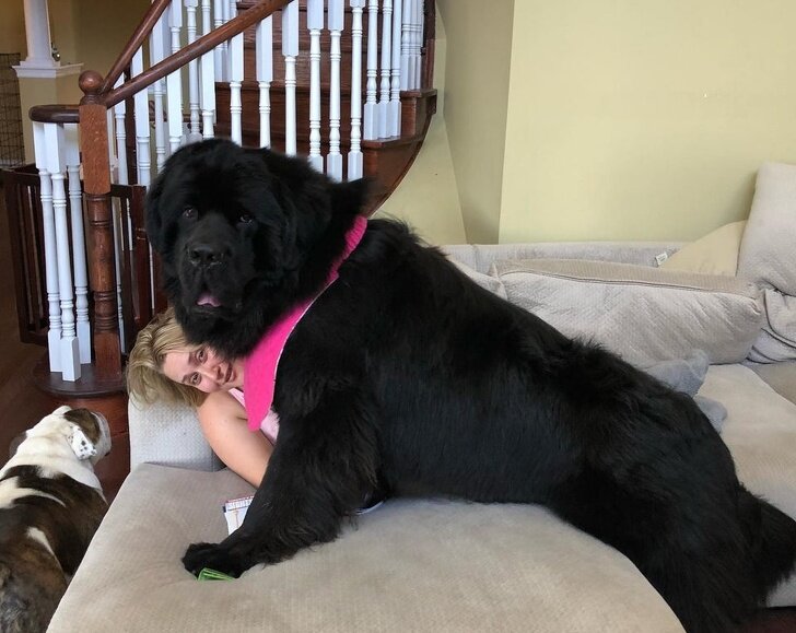 Моё воображение рисовало это так.