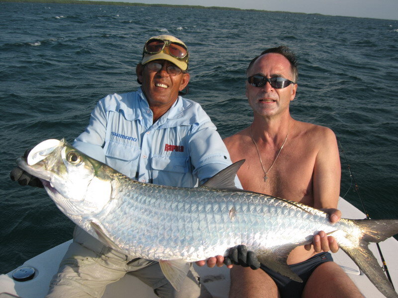 Тарпон рыба мощная.