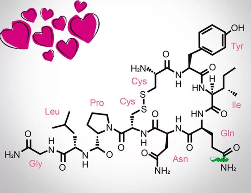 Химия любви. Окситоцин структурная формула. Формула окситоцина химия. Окситоцин гормон химическая формула. Химическая формула любви-окситоцина.