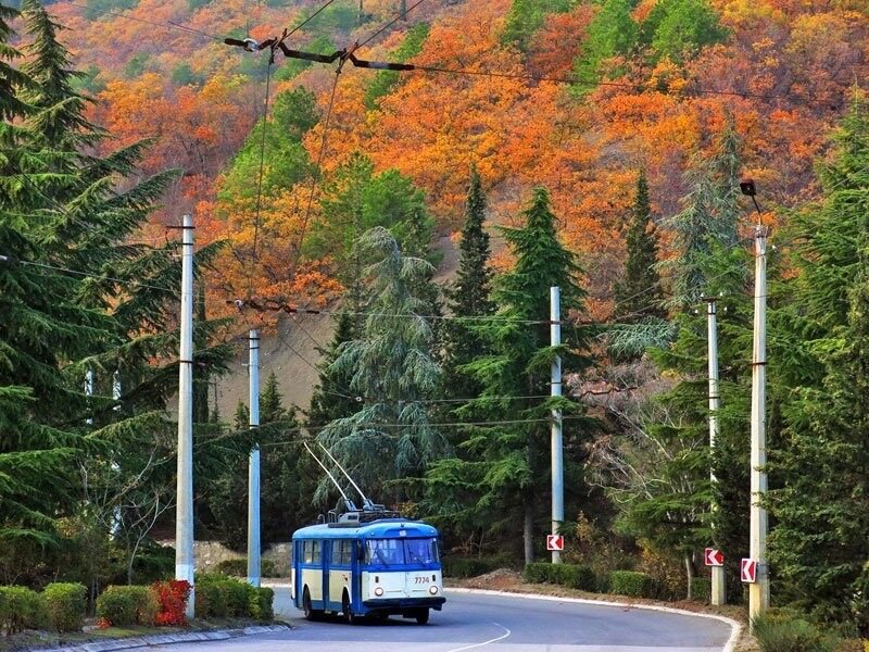 Троллейбус 