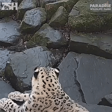 ЧТО ЧТО ЧТО??? Не снимайте меня!