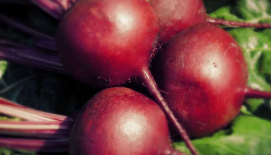 Красный бурак и здоровье женщины