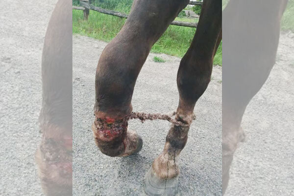 Источник фото сервис Яндекс.Картинки