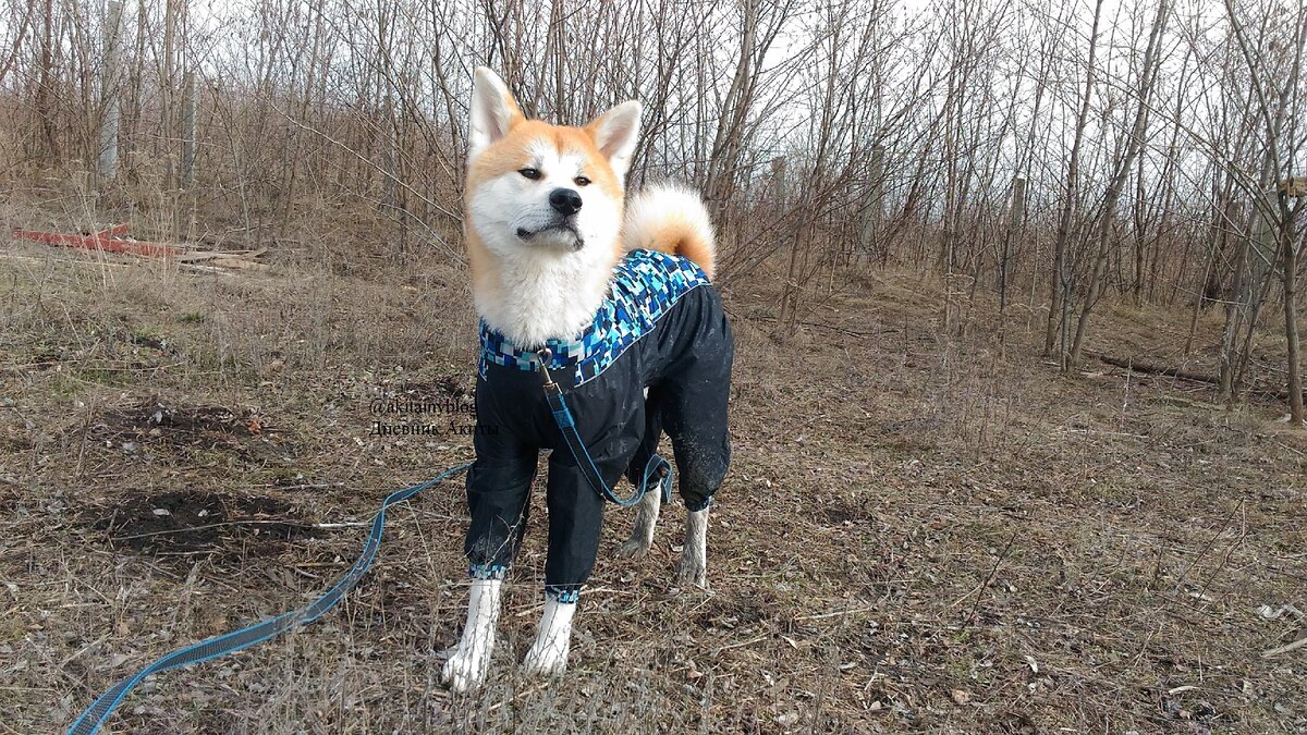 Тамка в комбезе от грязи