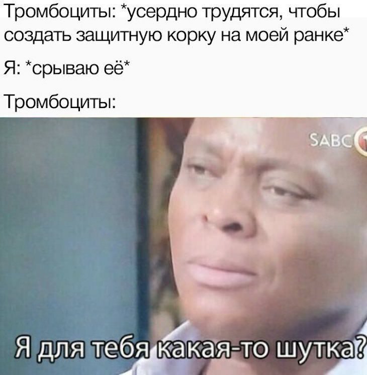 Источник: Yandex картинки