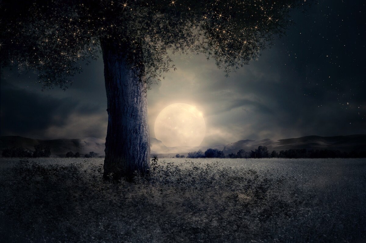 Изображение Larisa Koshkina с сайта Pixabay