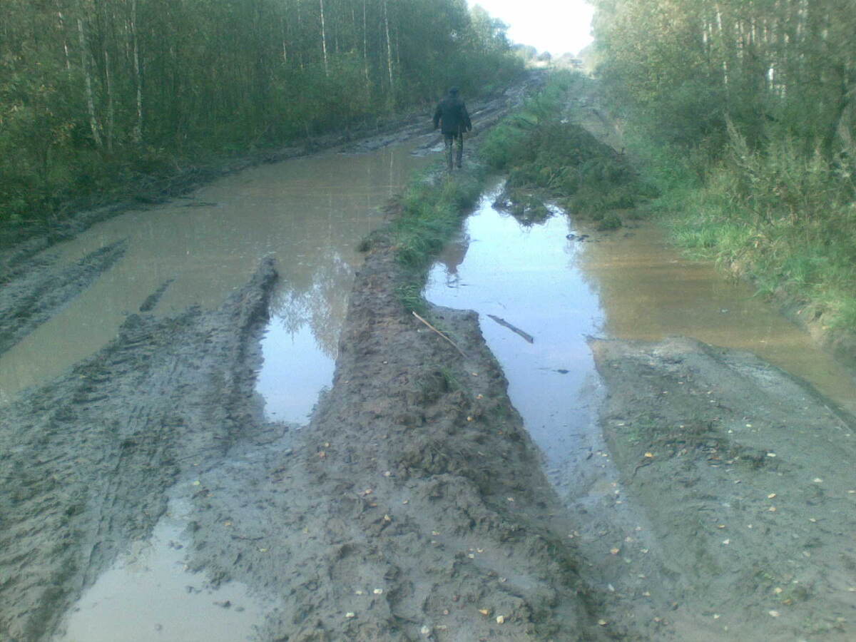 Чудесная дорога.