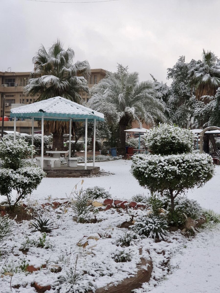 В Багдаде все спокойно, только выпал снег: второй раз за 100 лет (фото).