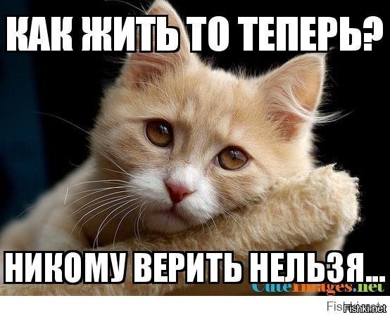 из яндекс картинок