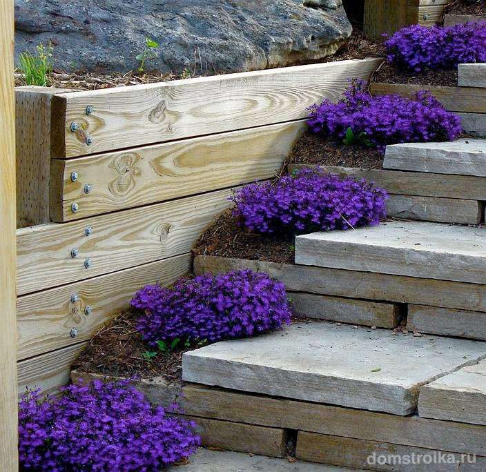 Фото Яндекс картинки 