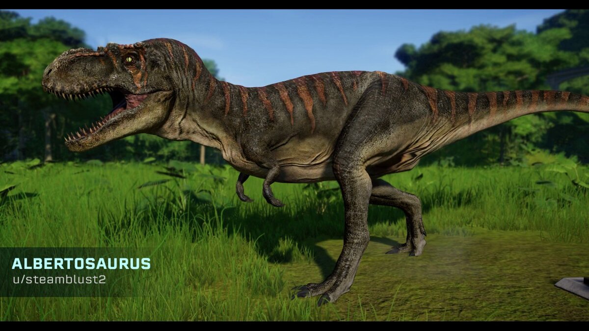 фото из открытых источников