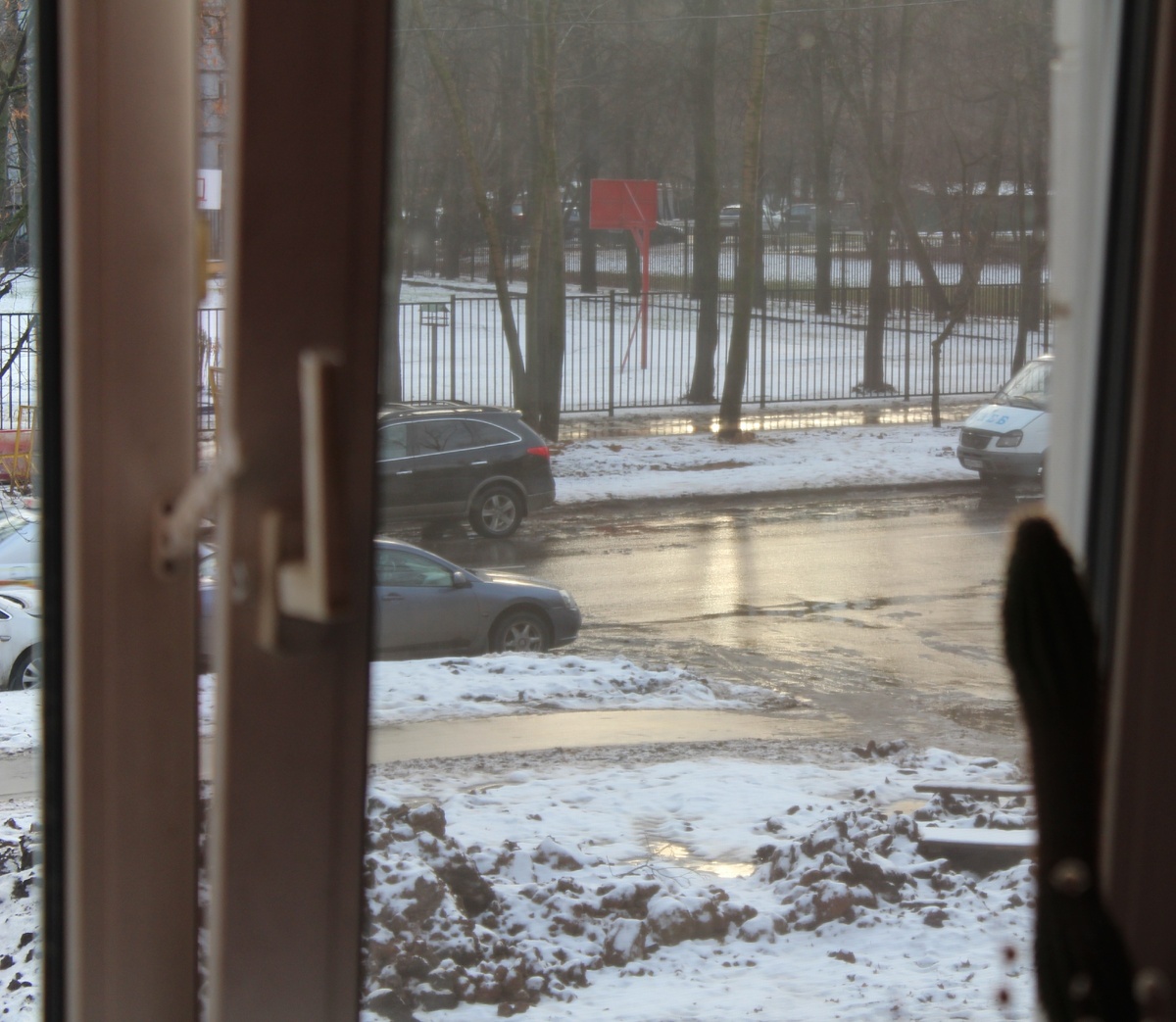 Открытые окна круглый год - залог здоровья. Авторское фото