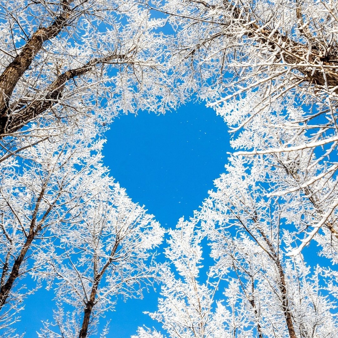 Иллюстрация из источника: https://m.my.mail.ru/community/blog_jeineir1/ 