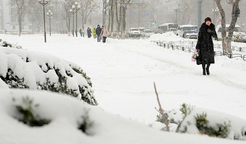 Фото: архив skr.su