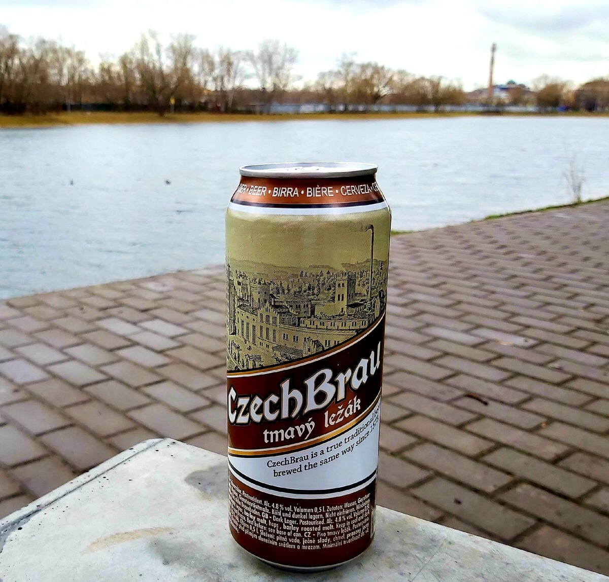 Czech Brau на фоне большого Перовского пруда, фото автора