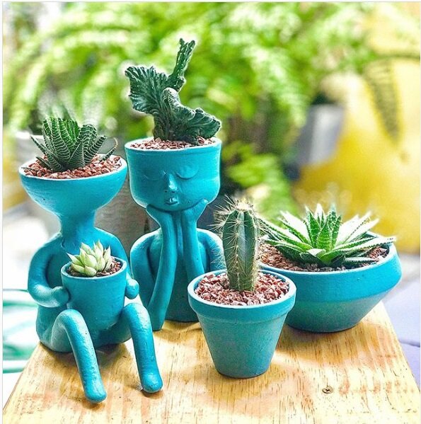 https://www.instagram.com/brutaflorcactosesuculentas