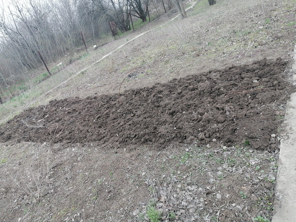 Небольшая часть уже подготовлена для посадки