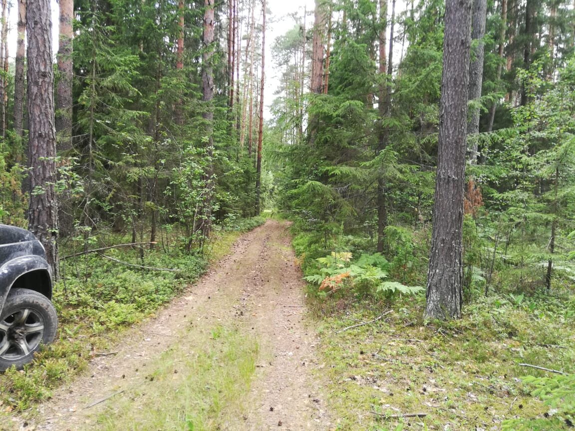 в районе Филлиповского