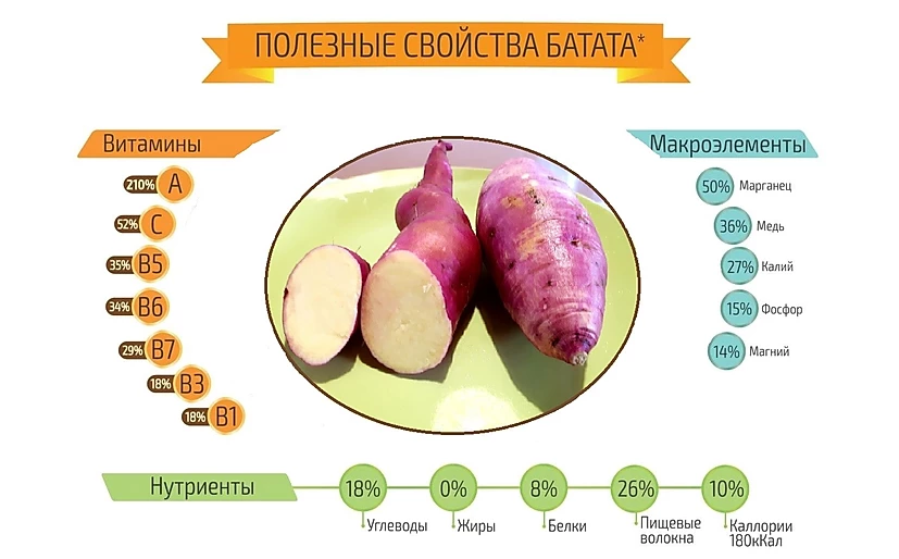 Что за растение батат фото польза и вред