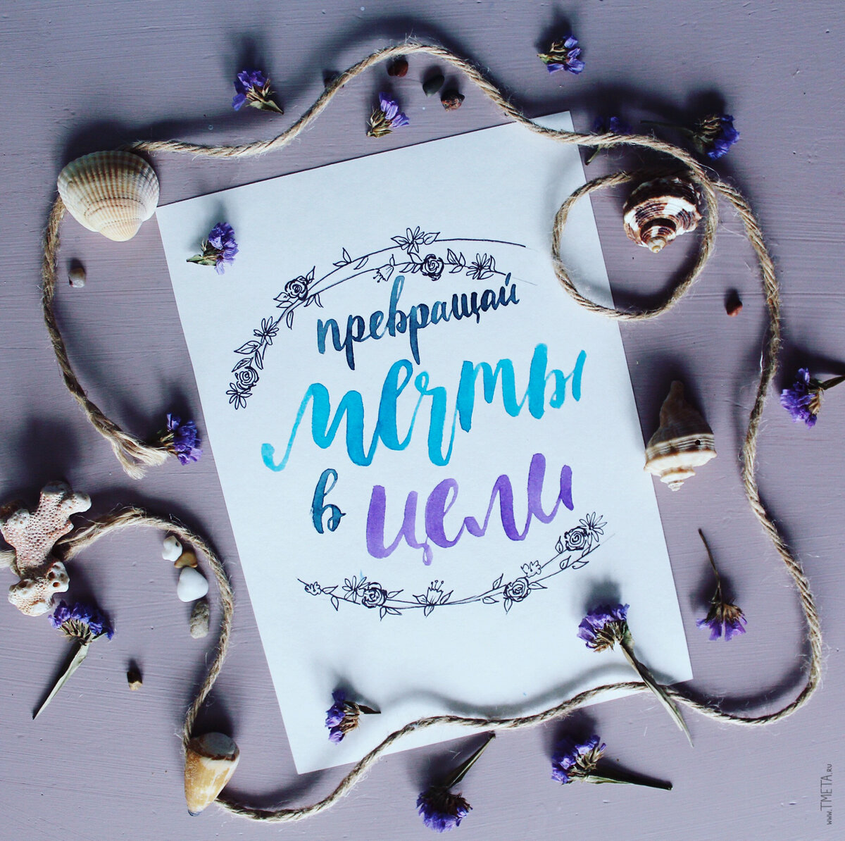 (c) Tasha Metamorfosis