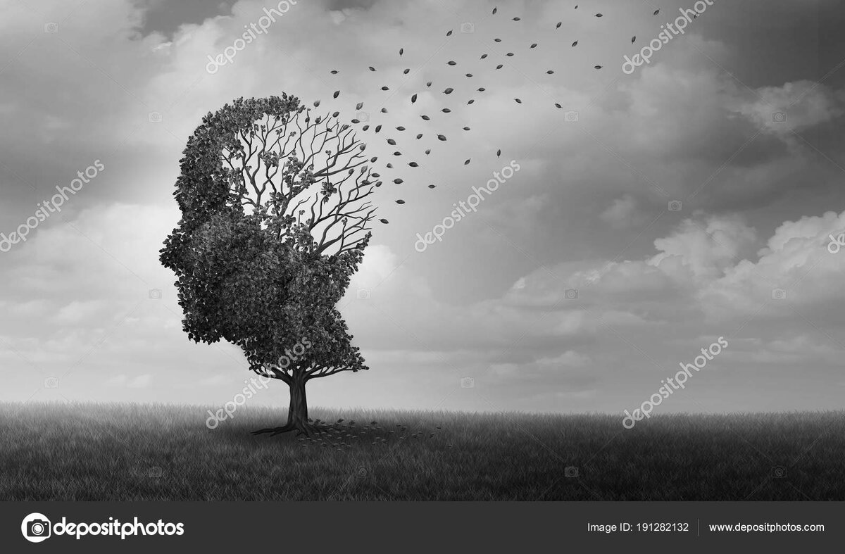 Изображение из интернета в оркрытом доступе