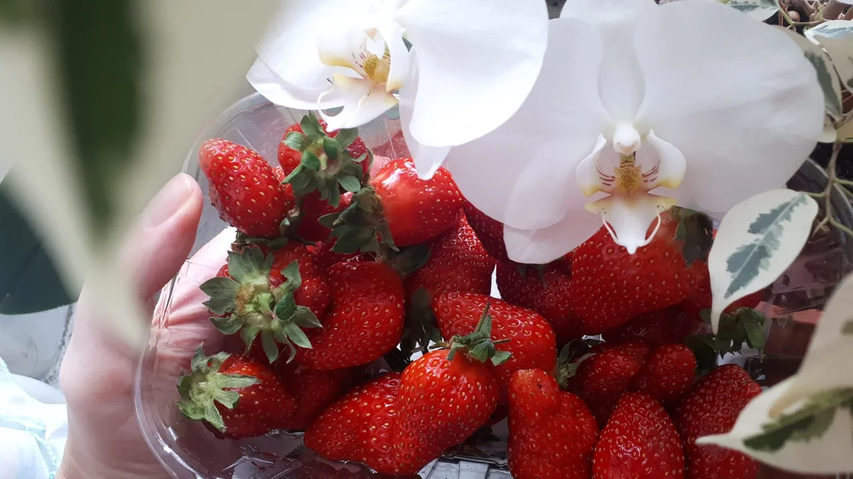 на подоконнике