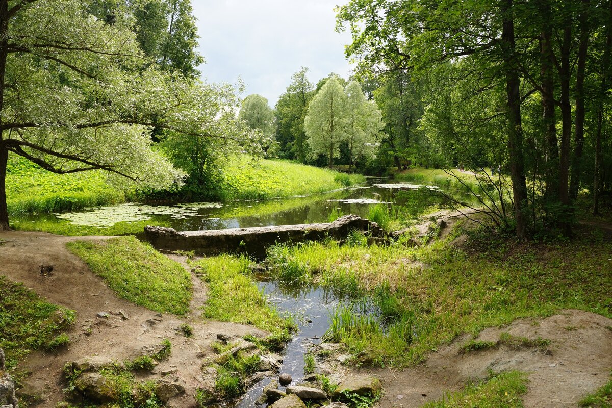 Павловский парк летом