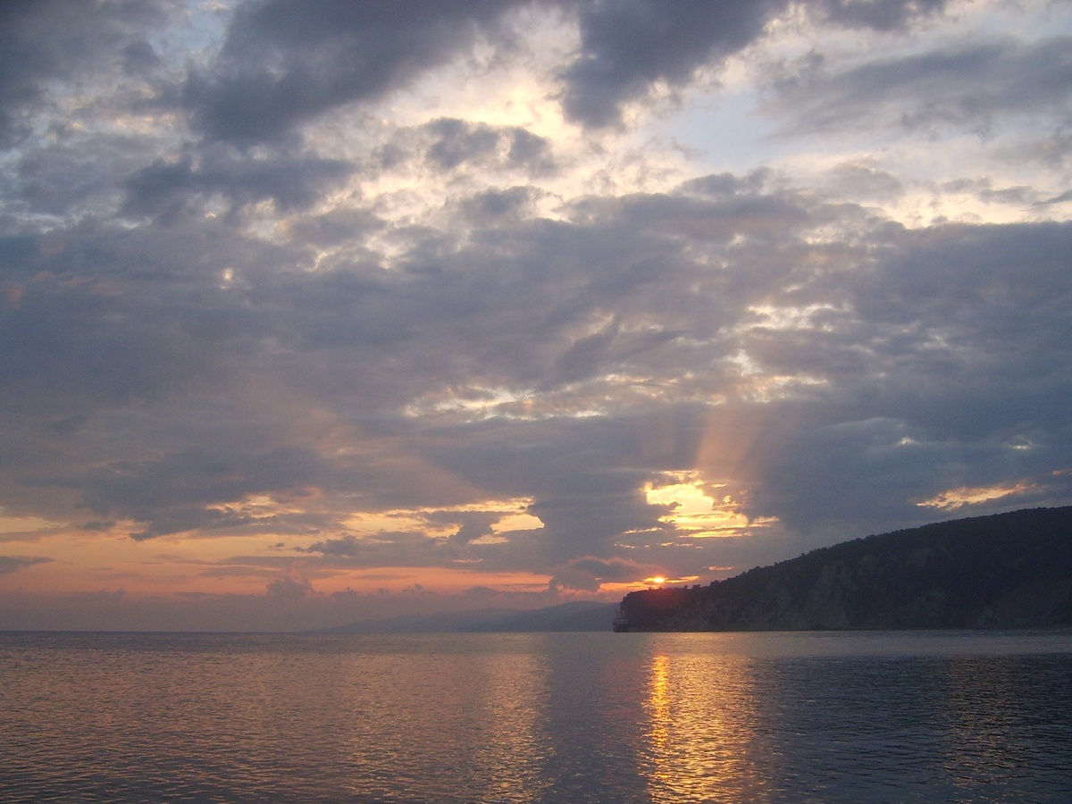 личный архив