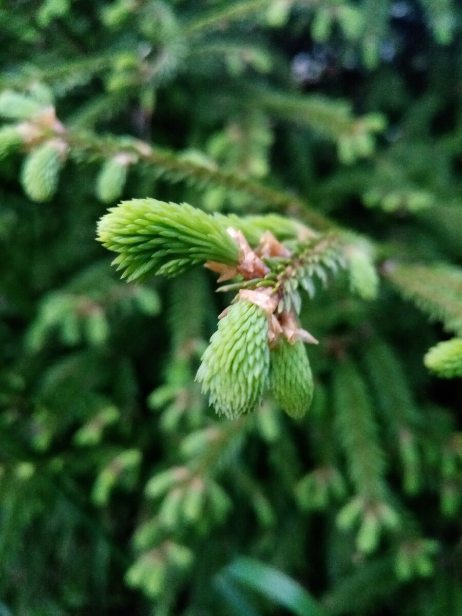 Класс. 