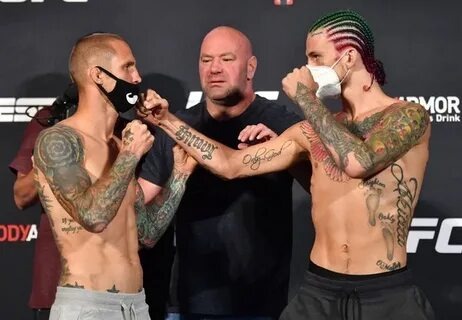 12-0-0 рекорд Шона О'Мэлли