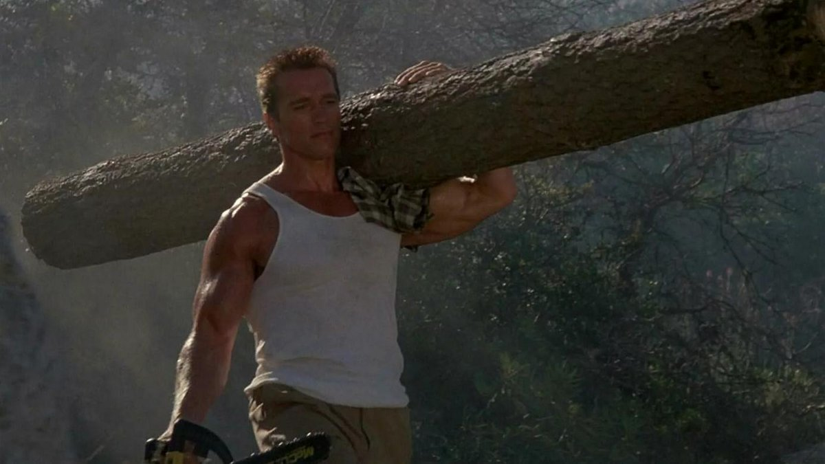 Полковник Мэтрикс спешит на помощь