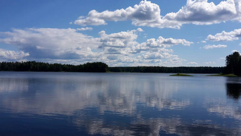 Озеро Городно Новгородская область.