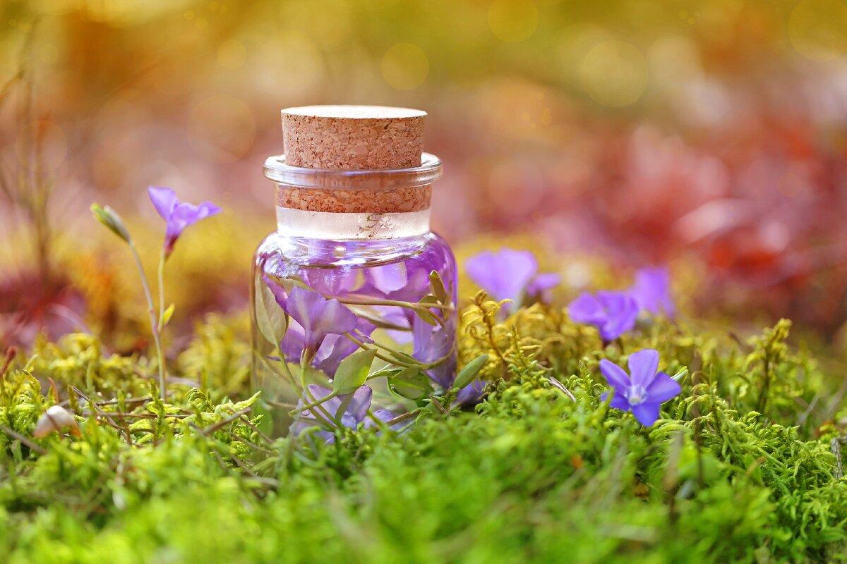 Источник:  Pixabay