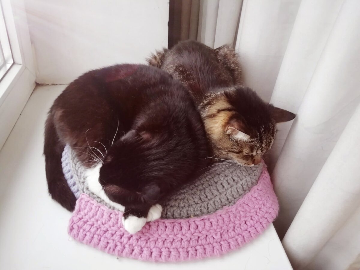 Сурен и Феликс (зОблуждаюца)