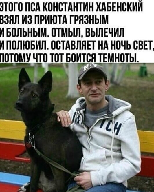 Фото из свободных источников
