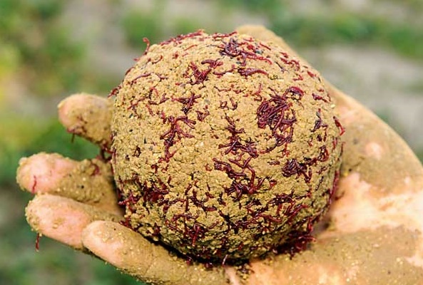 Фото из Яндекс Картинки