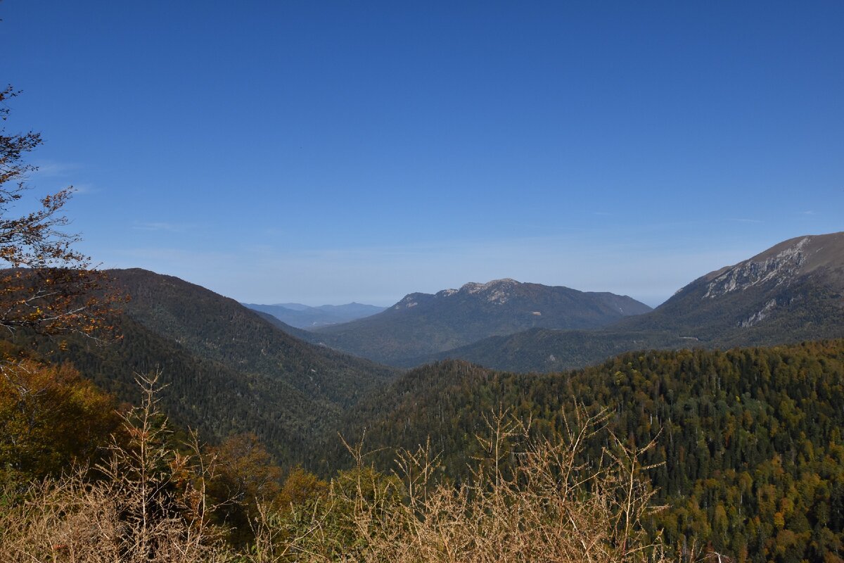 Вид со смотровой площадки не доезжая Пшехского (Водопадистого) водопада 