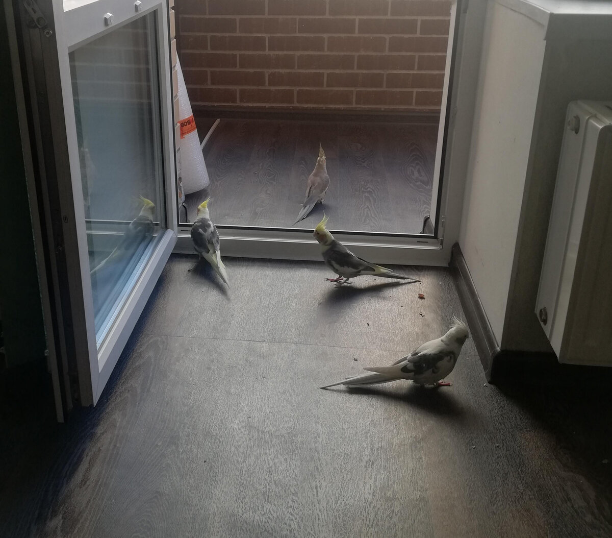 Фото автора. 