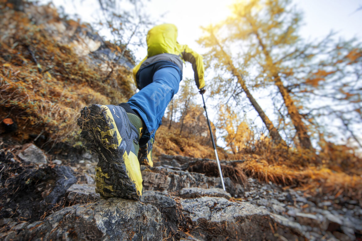                                                                        Источник фото: pixabay.com