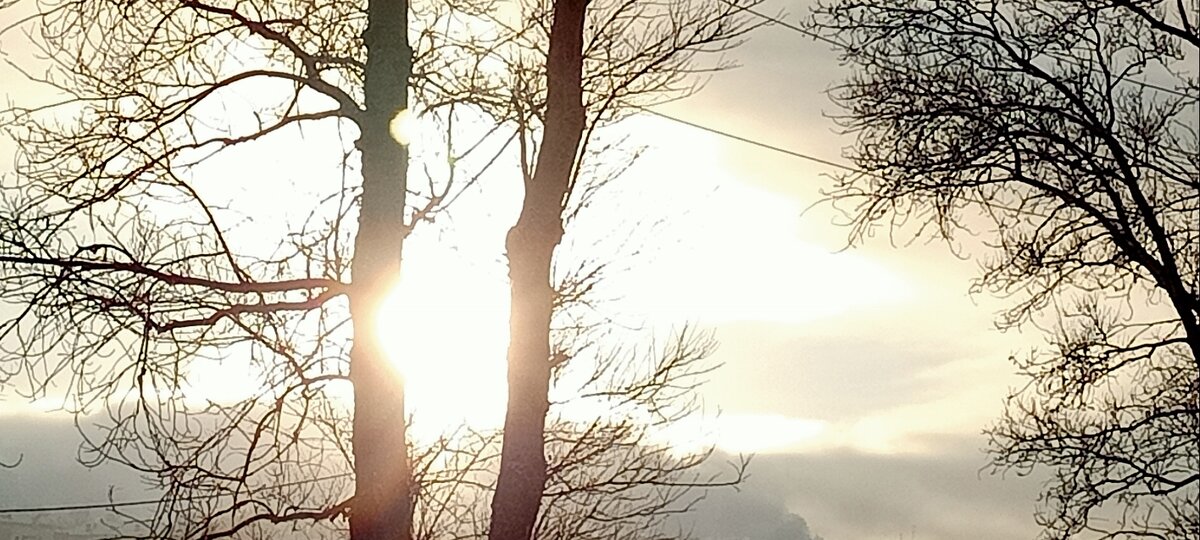 (Личное фото автора)