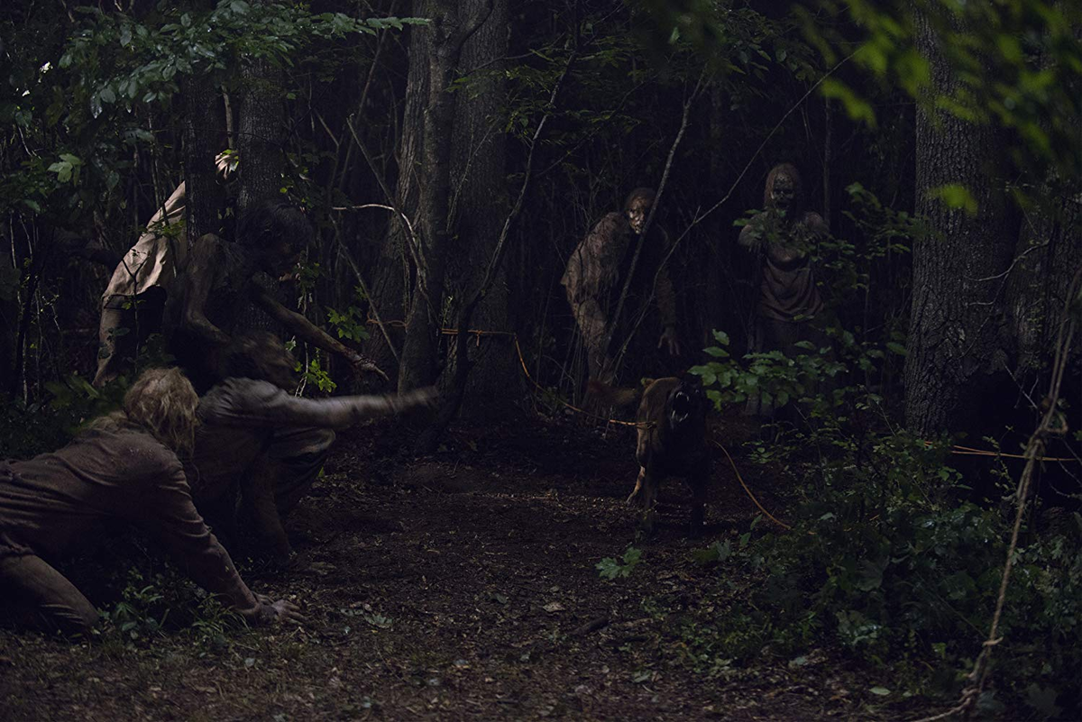 Фото из интернета