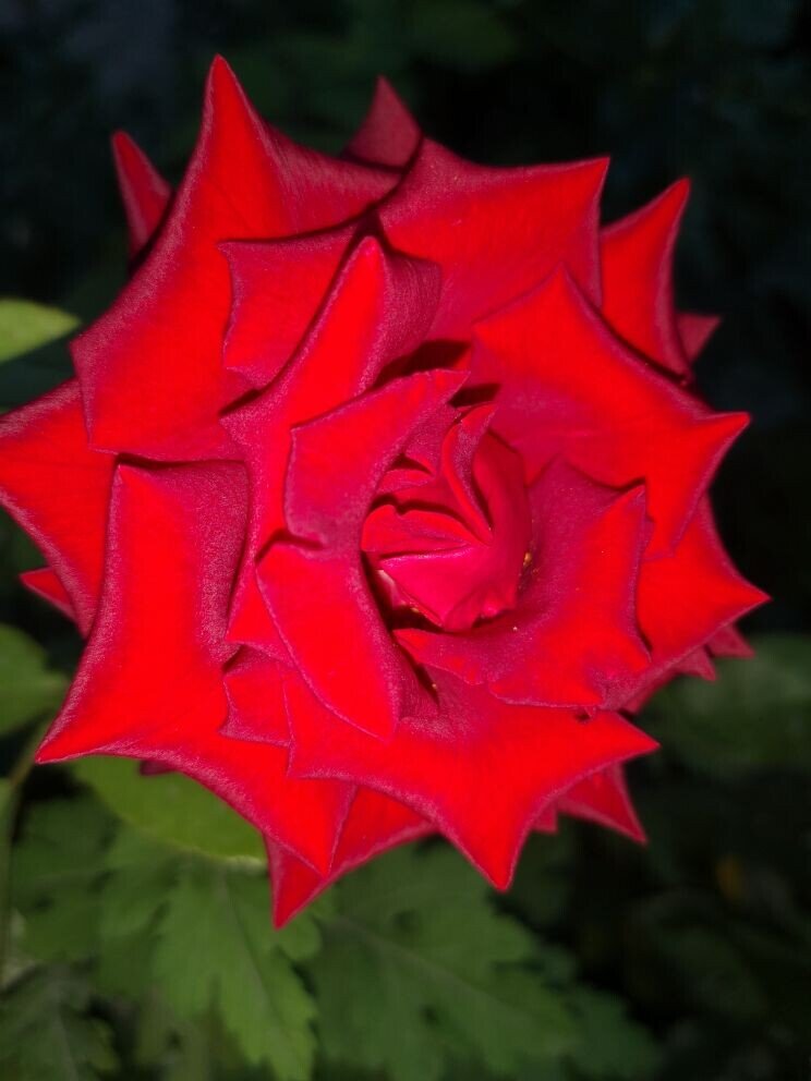 Фото из личного архива.