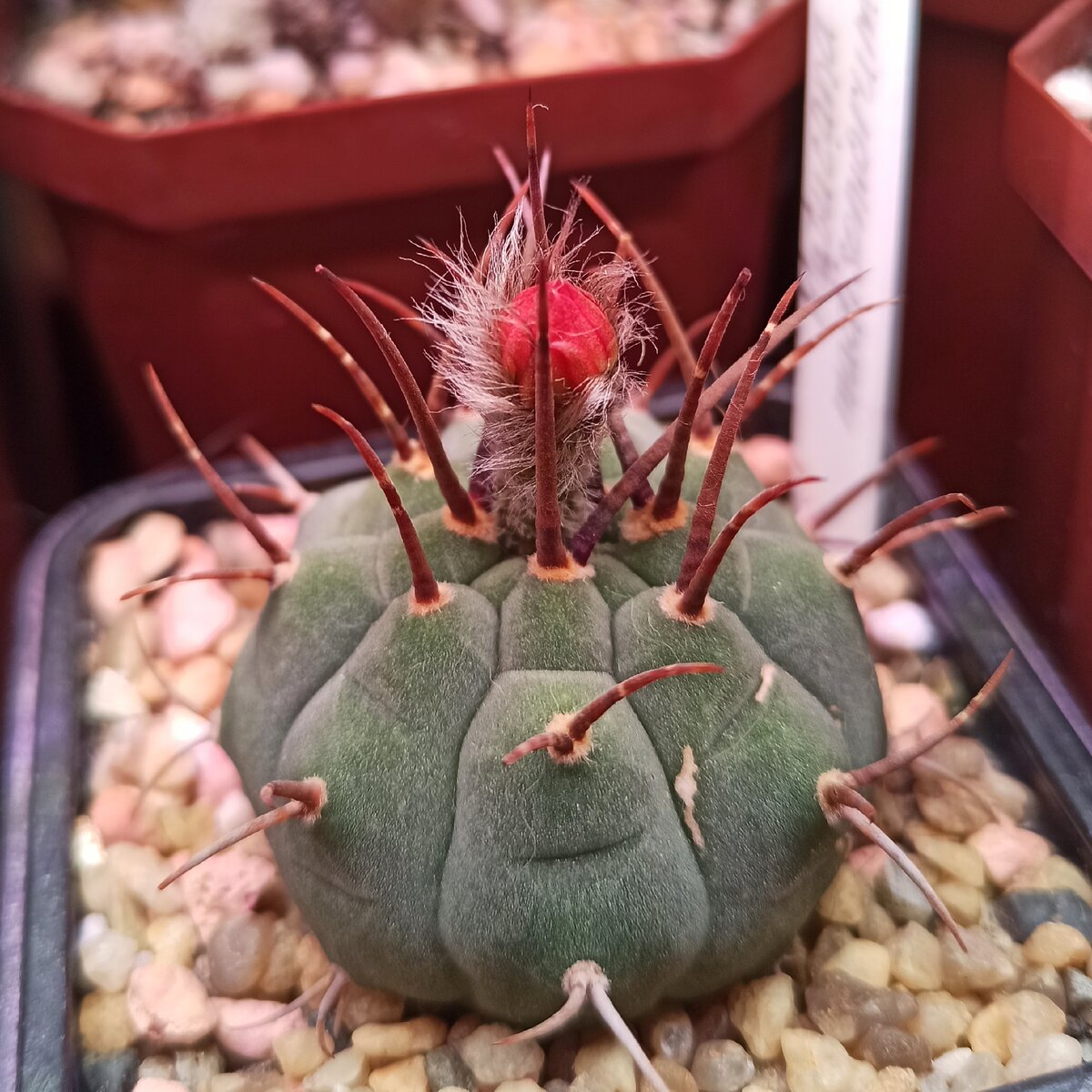 Фото от 22.12.2020