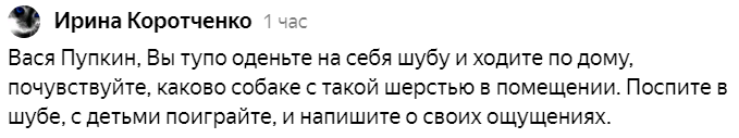 Один из комментариев в мою защиту