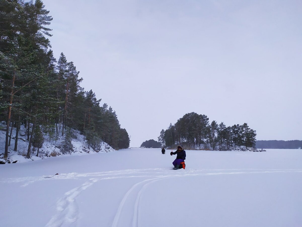 (Фото: Дарья Гладкая)