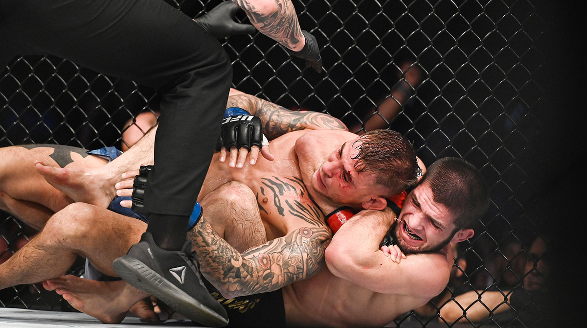 Досрочные победы Хабиба Нурмагомедова над Конором Макгрегором и Дастином Порье.