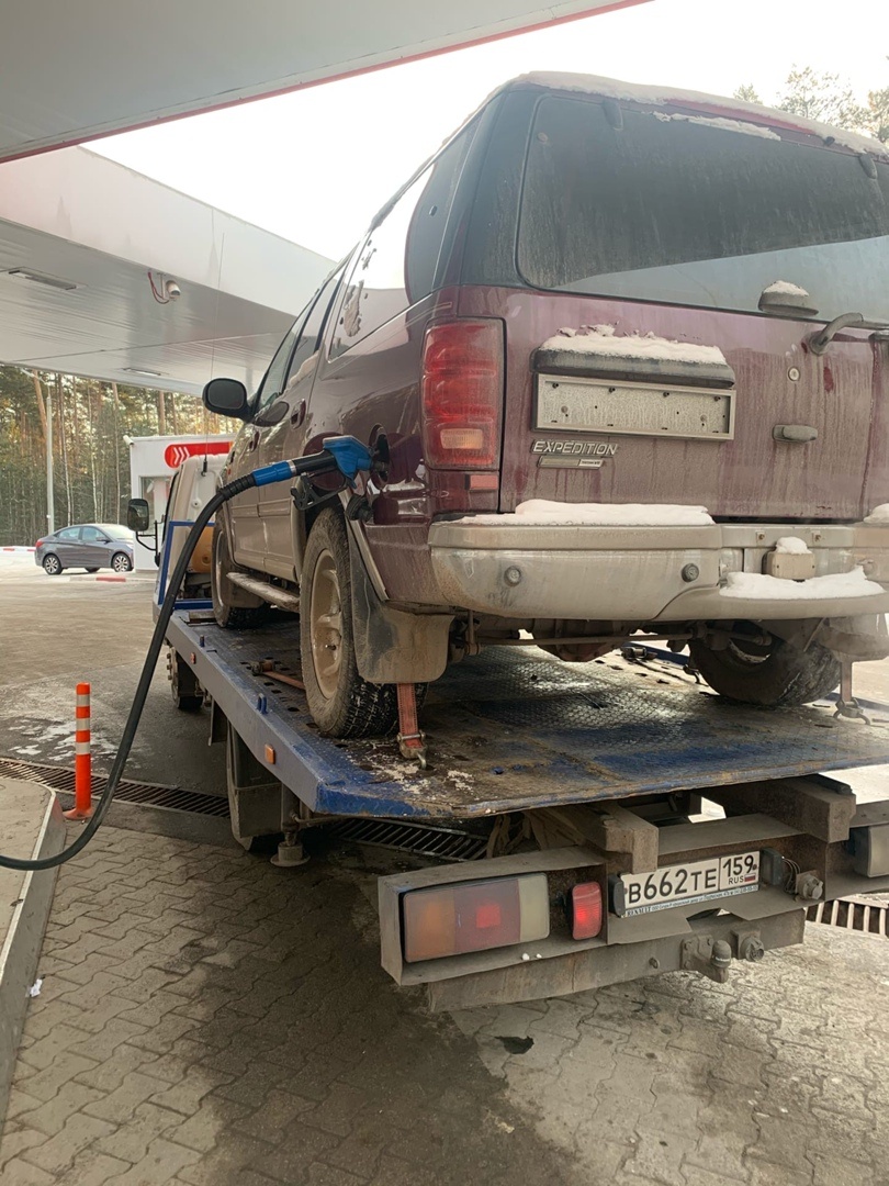 бегемот кушает.