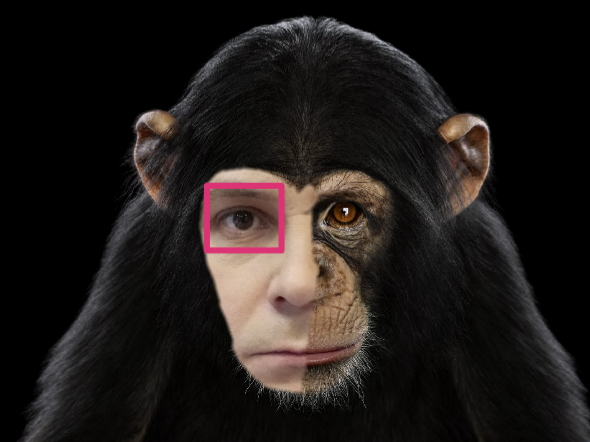 Кобо планета обезьян. Восстание планеты обезьян джон литгоу. Восстание планеты обезьян 2. Терри нотари планета обезьян. Восстание планеты обезьян энди сёркис.