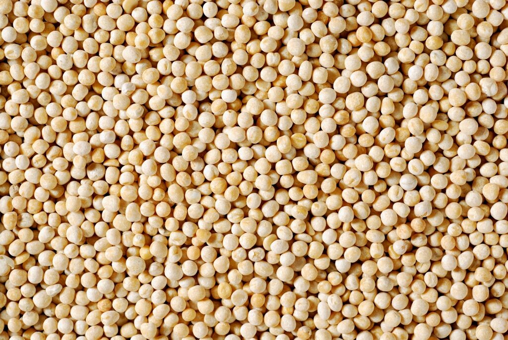 Гороховый сыр