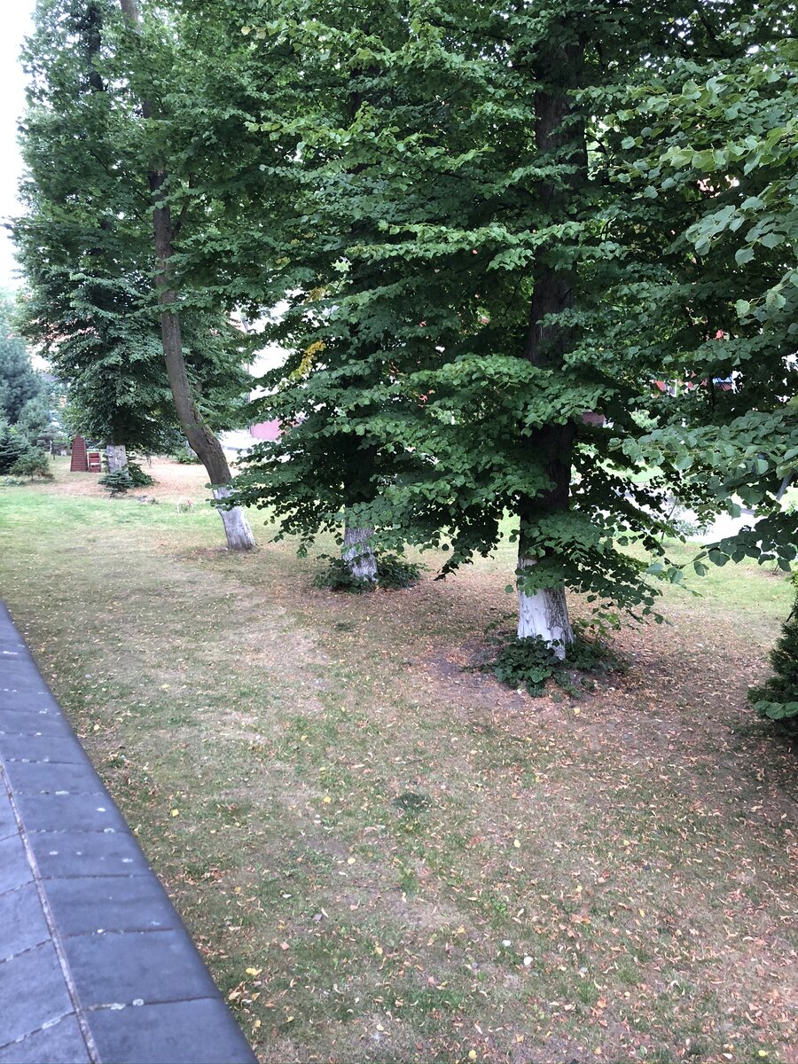 Зато как же там красиво, особенно летом!